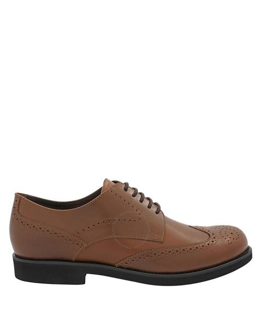 Tod's Brown Lace-up Perforated Leather Derby Shoes for men