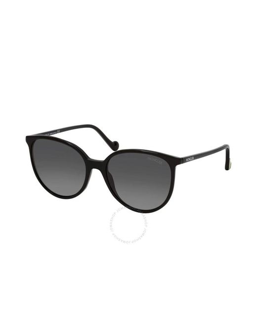 Moncler Black Polarized Smoke Cat Eye Sunglasses Ml0177 01d 56