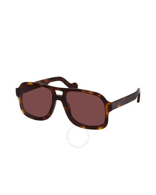 Moncler Brown Navigator Sunglasses Ml0170 52e 59 for men
