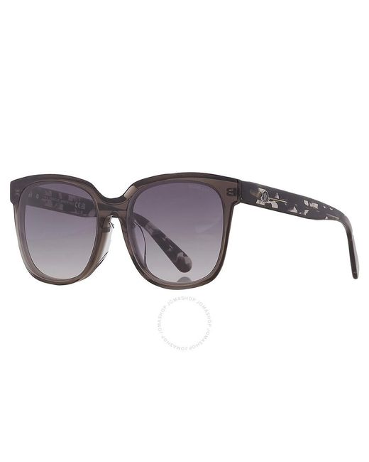 Moncler Blue Brown Square Sunglasses Ml0198-f 05b 57