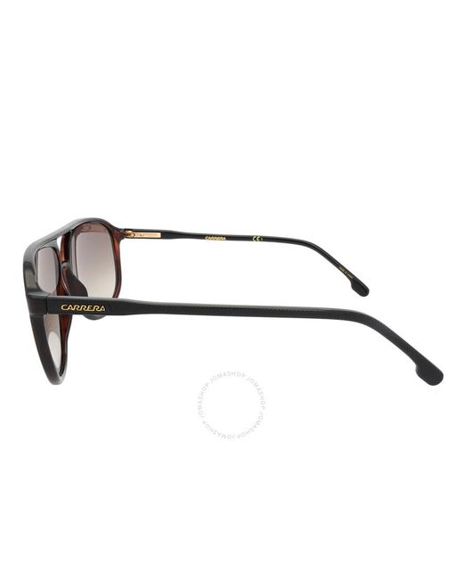 Carrera Brown Gradient Pilot Sunglasses 257/s 0086/ha 60 for men