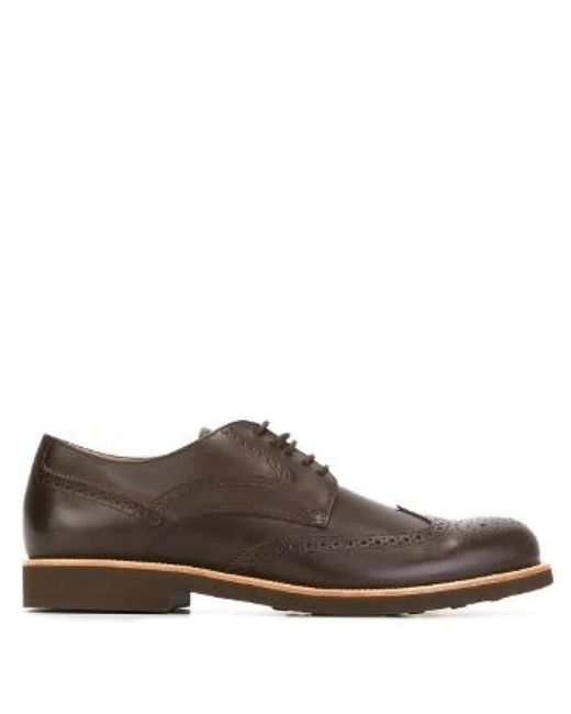 Tod's Brown Classic Brogue Shoes for men