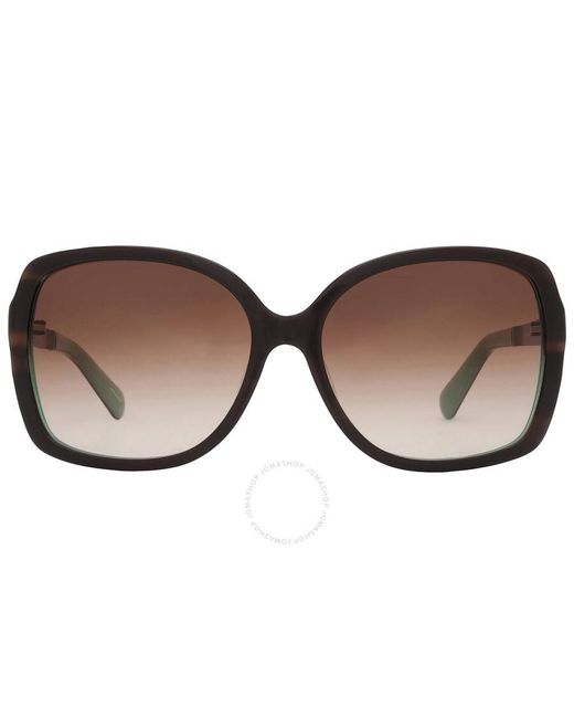 Kate Spade Black Brown Gradient Butterfly Sunglasses Darilynn/s 0x59/y6 58
