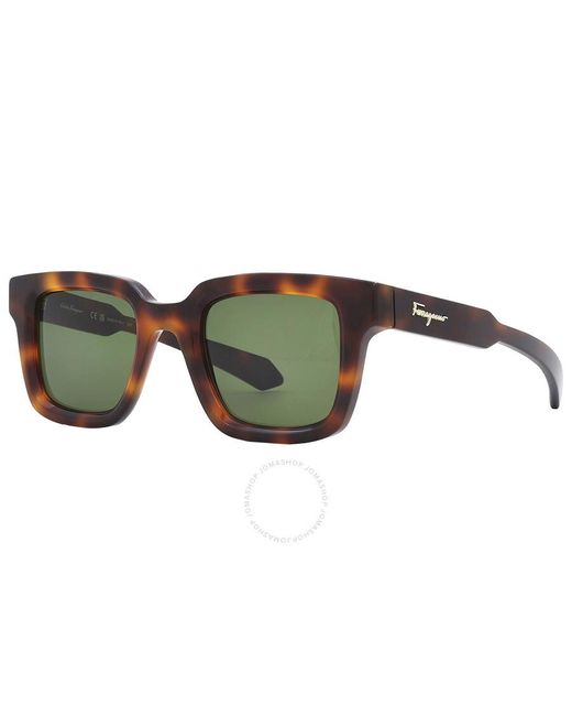 Ferragamo Brown Green Square Sunglasses Sf1064s 240 48 for men