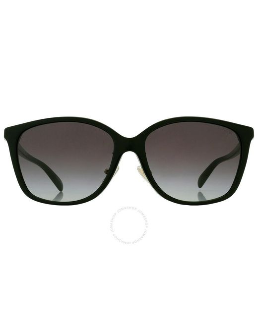 COACH Black Gradient Square Sunglasses Hc8361f 50028g 57