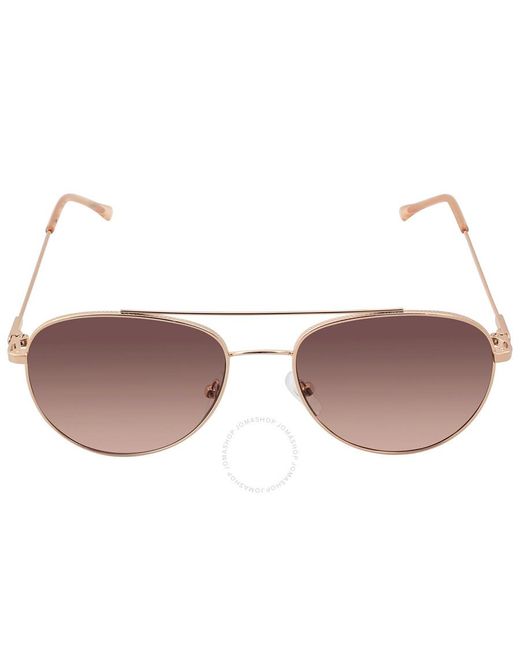 Calvin Klein Brown Pilot Sunglasses Ck20120s 780 55