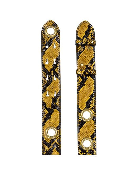 Burberry Multicolor Ladies Amber Croco-Embossed Leather Bag Strap