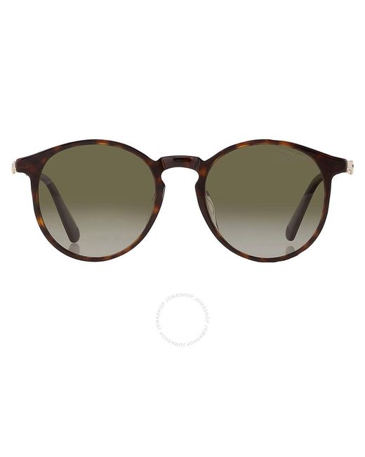 Moncler Brown Polarized Green Phantos Sunglasses Ml0197-d 52r 53