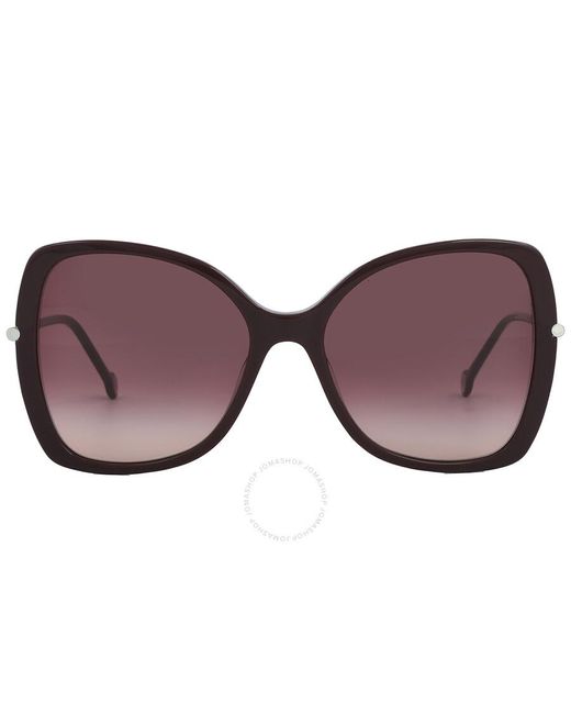 Carolina Herrera Black Shaded Butterfly Sunglasses Ch 0025/s 0lhf/3x 58