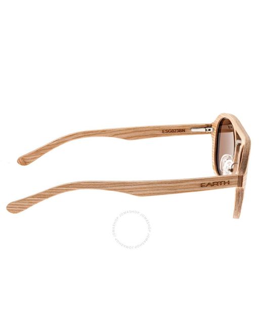 Earth Brown Cruz Wood Sunglasses