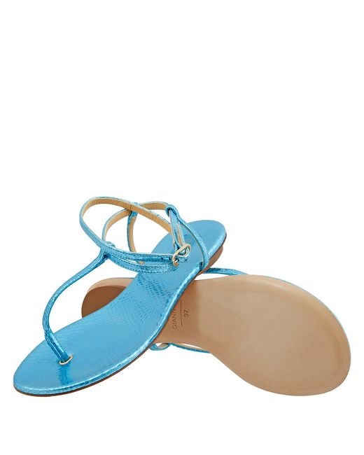 Giannico Blue Ladies Kai Flip Flops Leather Flats, Brand Size 36 (Us