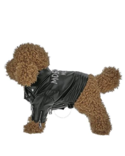 Moschino Black Pet Capsule Biker Style Logo Jacket, Brand