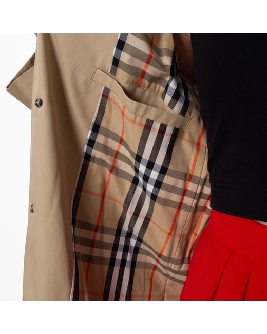 Burberry Natural Long Gabardine Belted Car Coat, Brand Size 8 Us for men