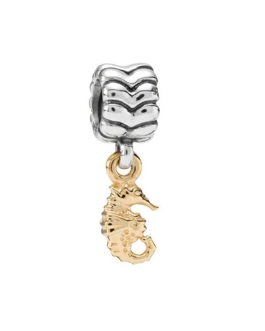 Pandora Metallic Accessory (no Gender)