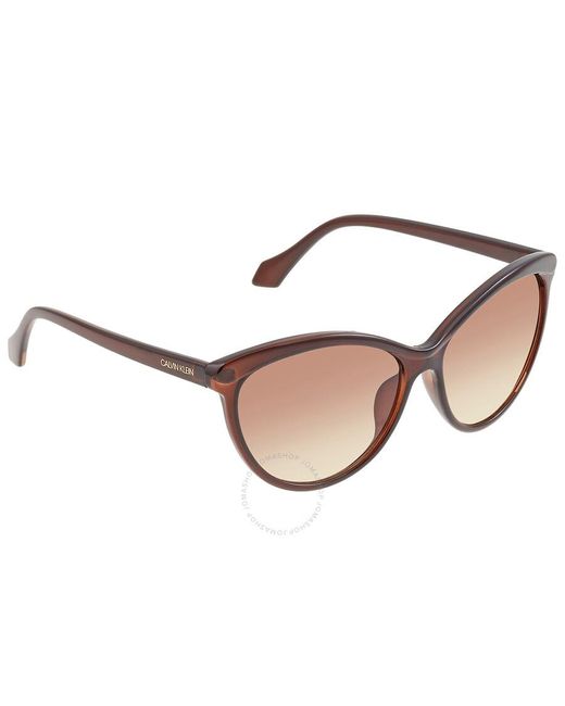 Calvin Klein Brown Cat Eye Sunglasses Ck19534s 210 58