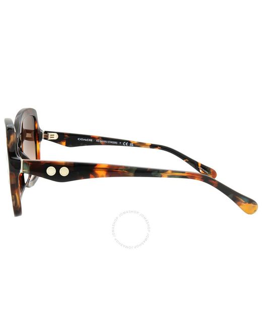 COACH Brown Gradient Butterfly Sunglasses Hc8410u 584474 56  display picture 2