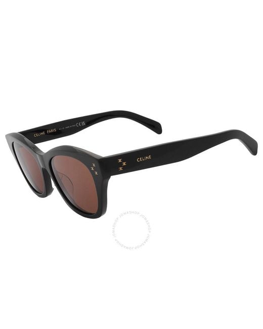 Céline Brown Cat Eye Sunglasses Cl40217u 01e 55