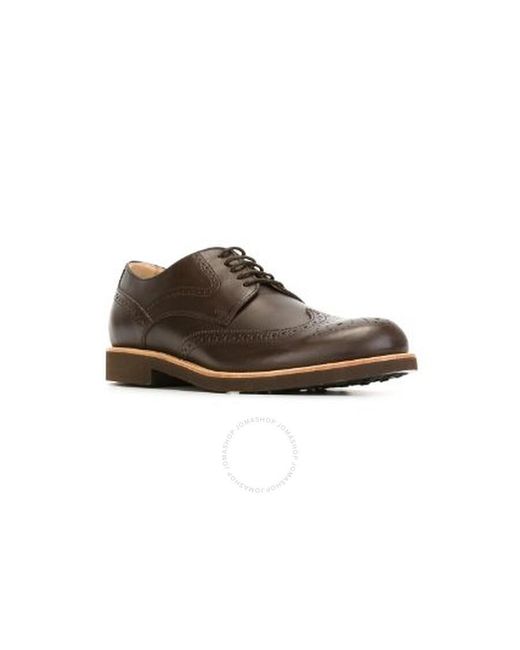 Tod's Brown Classic Brogue Shoes Dark for men