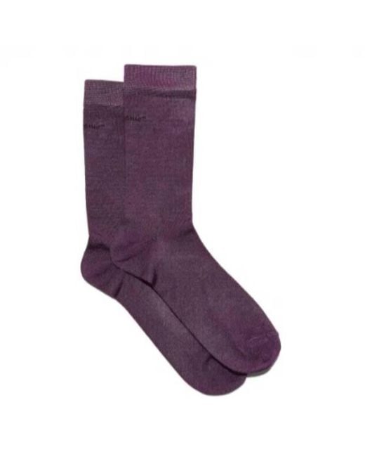 Ferragamo Purple Classic Crew Socks