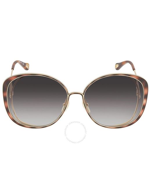 Chloé Brown Grey Gradient Cat Eye Sunglasses Ch0036s 001