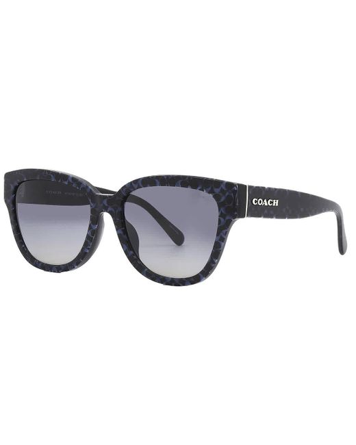 COACH Blue Gradient Cat Eye Sunglasses Hc8379f 57654l 57
