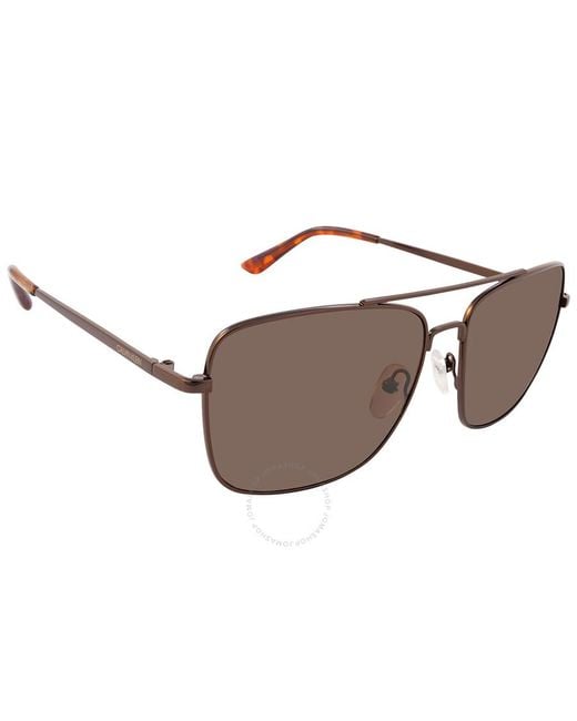 Calvin Klein Brown Navigator Sunglasses for men