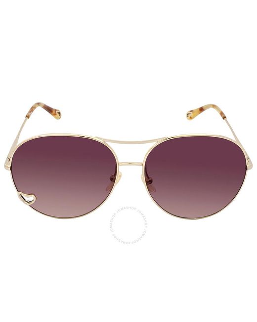 Chloé Purple Brown Pilot Sunglasses