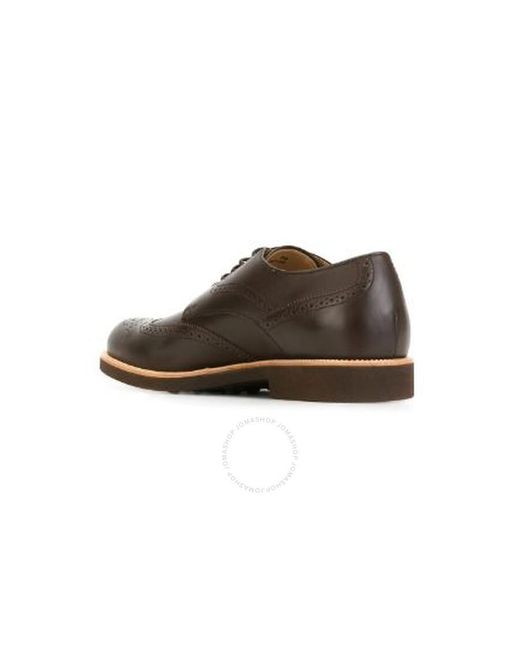 Tod's Brown Classic Brogue Shoes Dark for men