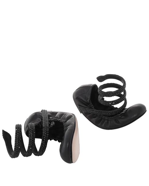 Rene Caovilla Black Rene Caovilla Cleo 10 Crystal Ballerinas