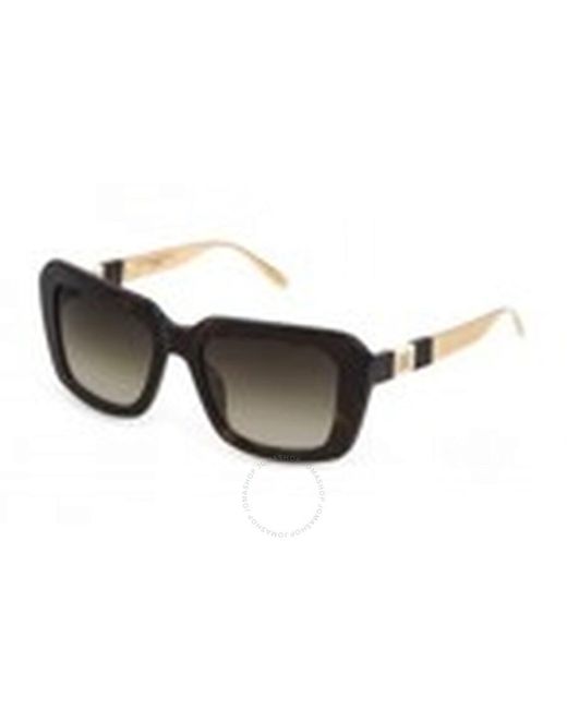 Carolina Herrera Brown Rectangular Sunglasses Shn619m 01gr 53