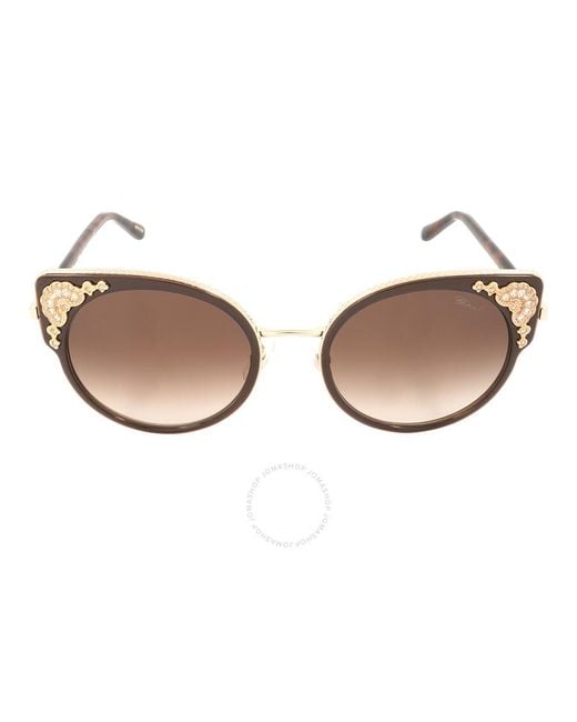 Chopard Brown Cat Eye Sunglasses Schc82s 0300 54