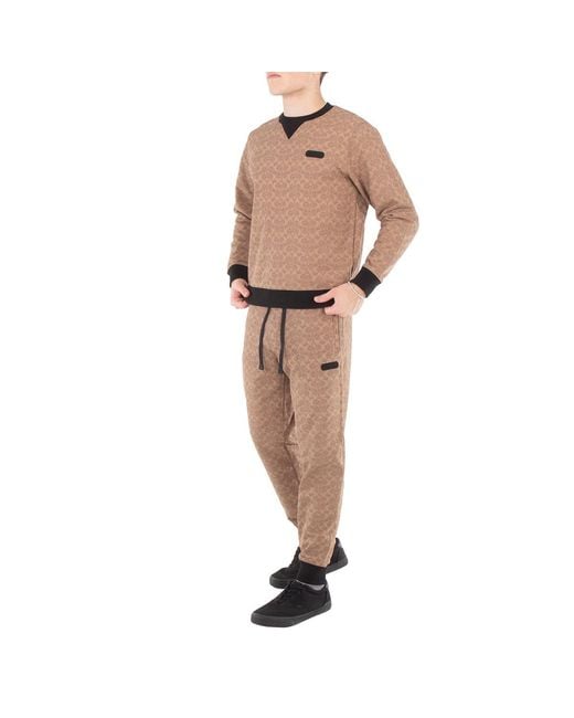 COACH Brown Signature Essential Joggers for men
