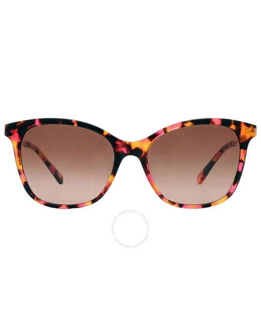 Kate Spade Brown Gradient Butterfly Sunglasses Dalila/s 0086/ha 54