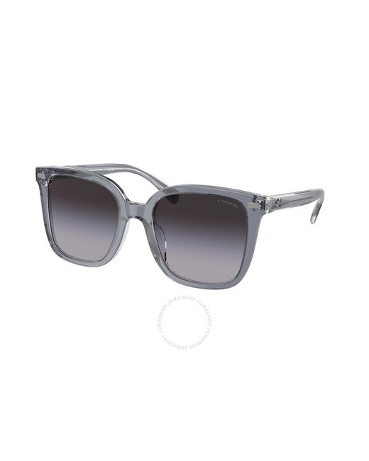 COACH Gray Grey Gradient Square Sunglasses Hc8381f 57808g 56