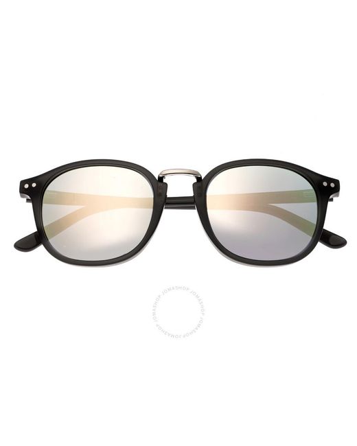 Sixty One Brown Champagne Grey Sunglasses