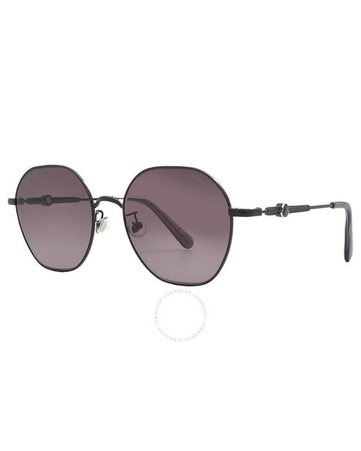 Moncler Gray Smoke Gradient Oval Sunglasses Ml0231-k 01b 56