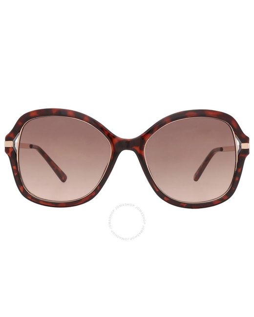 Guess Factory Brown Butterfly Sunglasses Gf0352 52f 54