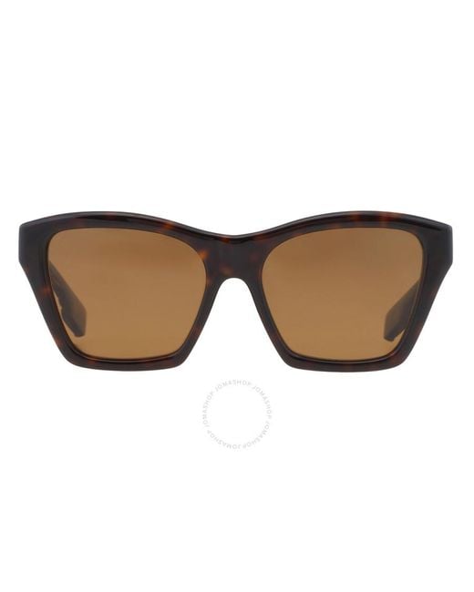 Burberry Arden Polarized Brown Cat Eye Sunglasses Be4391 300283 54
