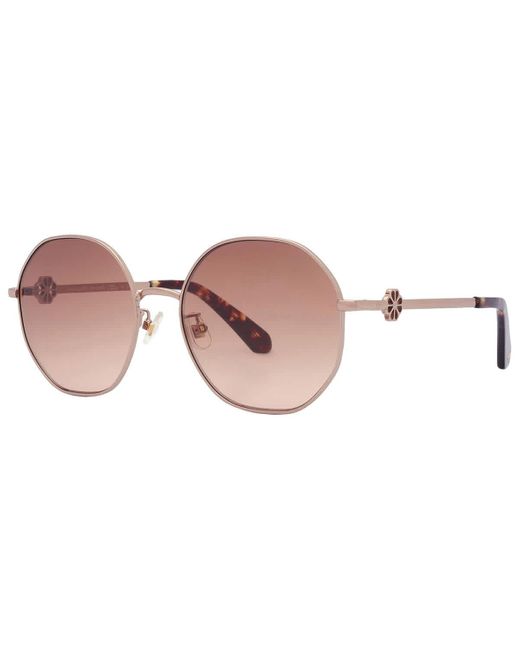 Kate Spade Brown Gradient Round Sunglasses Venus/f/s 0au2/ha 56