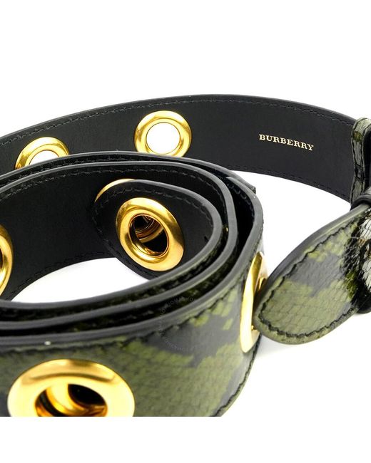 Burberry Green Croco-embossed Leather Bag Strap