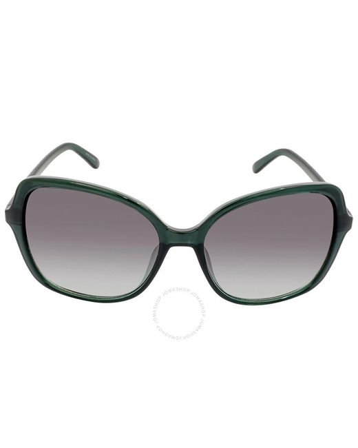 Calvin Klein Brown Gradient Butterfly Sunglasses Ck19561s 360 57