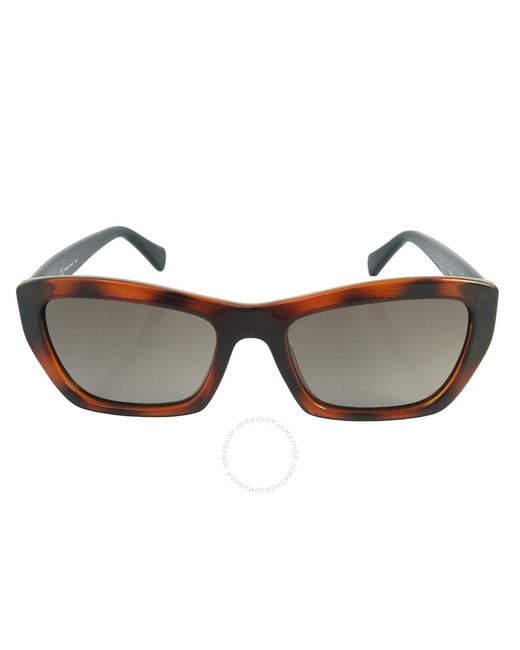 Ferragamo Brown Cat Eye Sunglasses Sf958s 214
