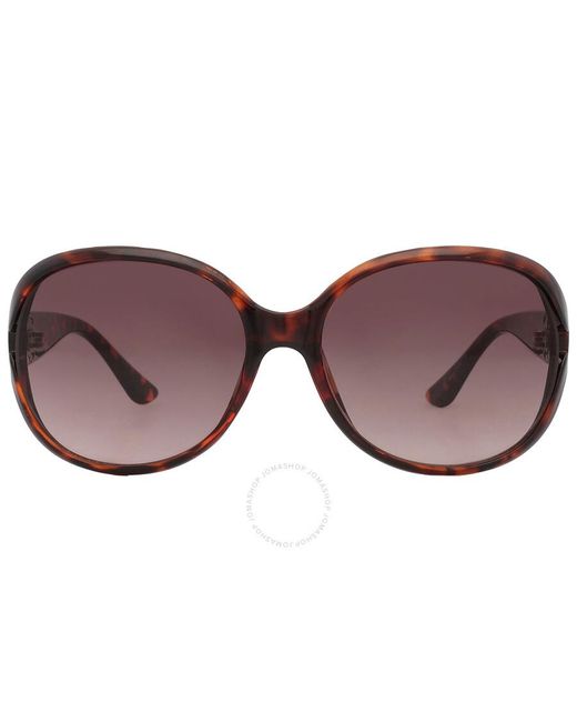 Guess Factory Multicolor Brown Gradient Butterfly Sunglasses Gf0366 52f 60