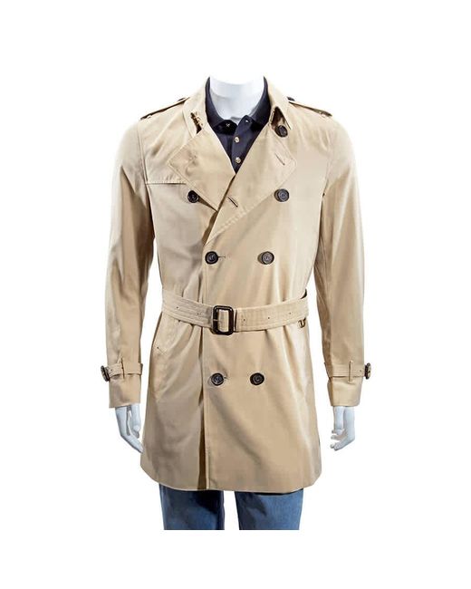 burberry kensington short