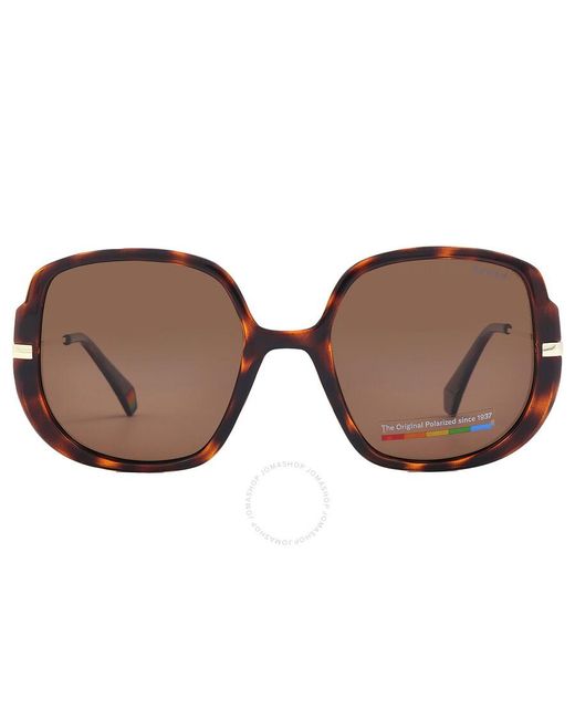 Polaroid Brown Bronze Butterfly Sunglasses Pld 6181/s 0086/sp 53