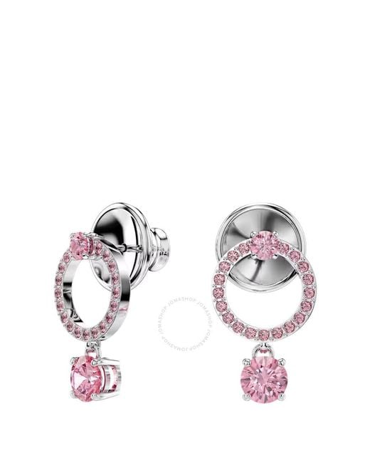 Swarovski Pink Attract Round Cut Drop Earrings