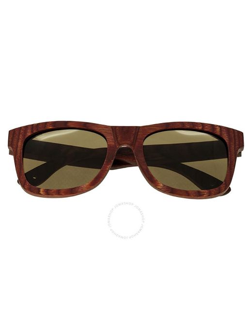 Spectrum Brown Irons Wood Sunglasses