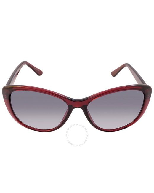 Calvin Klein Brown Grey Gradient Cat Eye Sunglasses