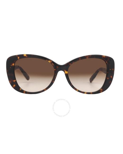 COACH Brown Gradient Butterfly Sunglasses Hc8322 51203b 54