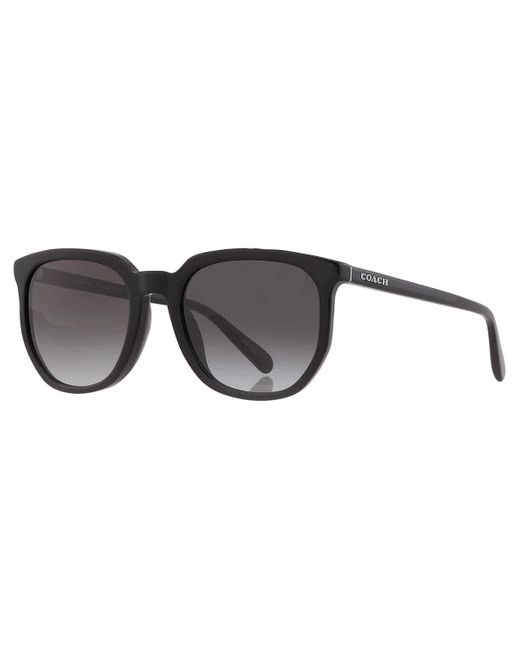 COACH Black Grey Gradient Square Sunglasses Hc8384u 50028g 55 for men